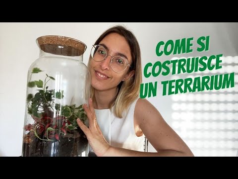 Ti spiego come costruire un TERRARIUM 🌿 | Soft Spoken | ASMR ITA