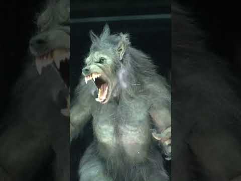 Werewolf apocalypse could you survive that? #shorts #likesharesubscribe