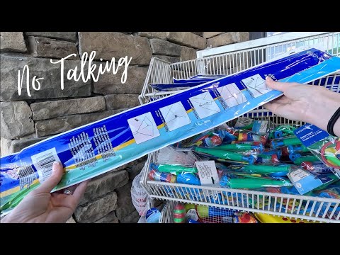 ASMR shopping Dollar General & Dollar Tree (no talking, organizing)