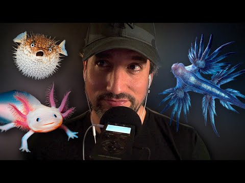 20 Animales MUY CURIOSOS y RAROS 🦄  [ASMR susurrado]