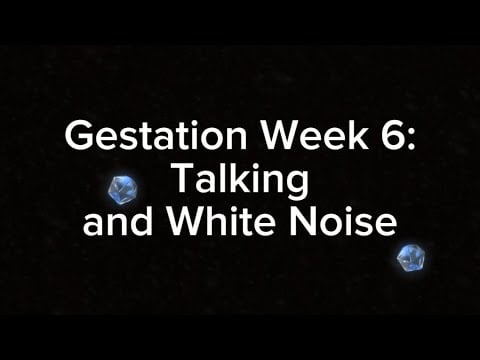 “ASMR” “Roleplay”: Your Twin Fails to Start a Conversation with You on Your 6th Week of Gestation