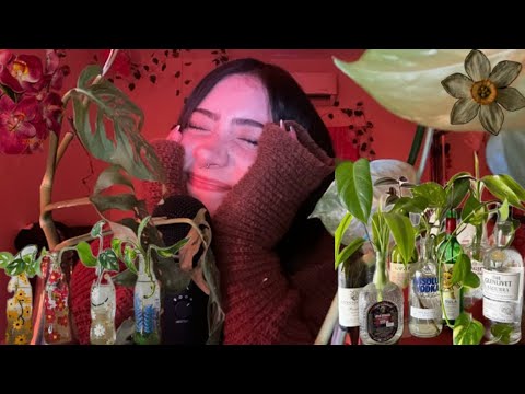 ASMR TAPPING EN MIS PLANTAS Y BOTELLAS
