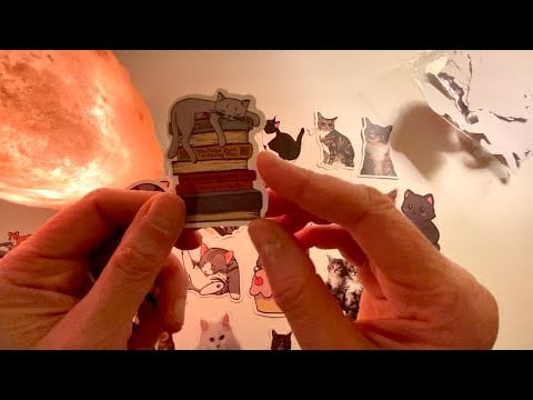 ASMR Whisper - Let’s Look at 100 Cat Stickers Some Chit Chat, Plastic Crinkles, Mindless Distraction