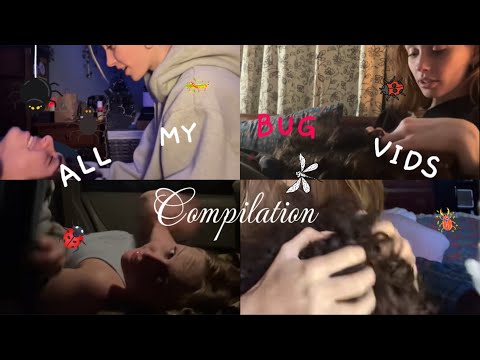 Peoples favorite 💖|| Bugs Asmr!! (head massage, scratching, mouth sounds and whispers) 🐞🪲🕷️