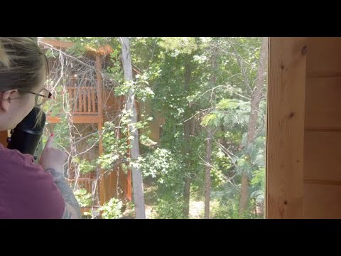 Smokey Mountain Cabin Tour - ASMR 🌲🐻