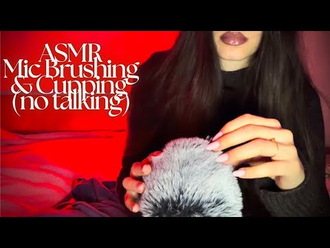 ASMR Fluffy Mic Brushing and Cupping.•*🩶*•. (no talking after intro) 