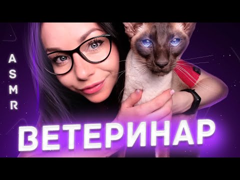 АСМР ВЕТЕРИНАР | ПОЛНЫЙ МЕДИЦИНСКИЙ ОСМОТР КОШКИ |  РОЛЕВАЯ ИГРА ВРАЧ | МУРЧАНИЕ | ASMR VET DOCTOR