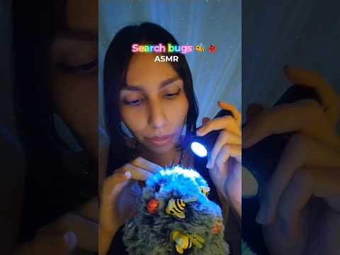 ASMR bugs
