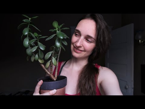 Asmr 🌱 Indoor Succulent Gardening Video 🌱 Lots of Soothing Sounds (Whispered/Soft Spoken)