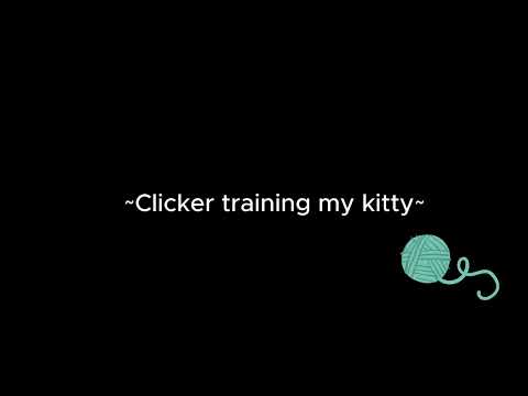 Clicker training my kitty [m4a] [ASMR] [good kitty] [praise] [headrubs]