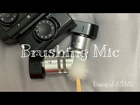 [ASMR] (No Talking) 지친 귀를 시원하게 털어 드려요!