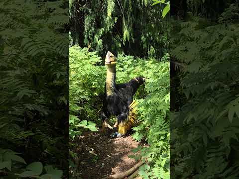 #dinosaur