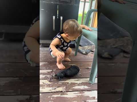 Tristen - 1 year old kid
