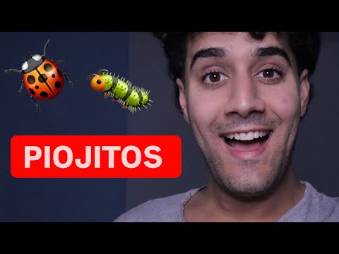 ASMR BUGS || NO TALKING