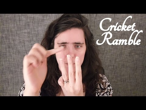 ⛹ ASMR Ramble ⛹ (Cricket, Update on Quilt) ☀365 Days of ASMR☀