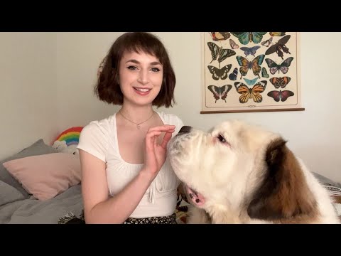 ASMR | With My Dog! Bishop 🐶 saint bernard