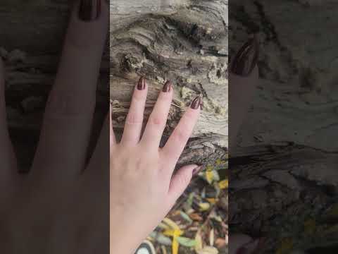 asmr scratching wood #asmr #asmrshorts #scratch