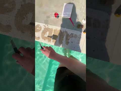 if I guess your pet’s name you have to go to sleep ASMR game at the pool #ASMR #ASMRGame #guess ￼