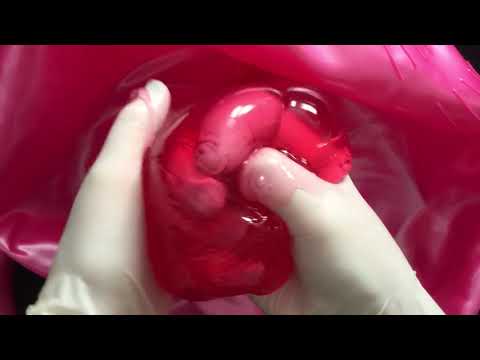 LATEX GLOVES👋 Sweaty➰ Slimey➰ Squeaky  [[ASMR]]