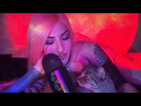 ASMR With Jaxson Purs 🐈 Clicky & Gentle Mouth Sounds 