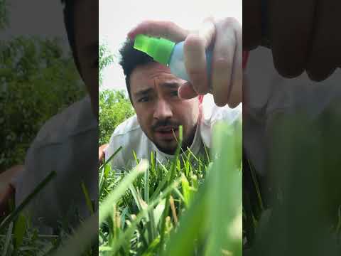 CUTTING GRASS ASMR ✂️🌱