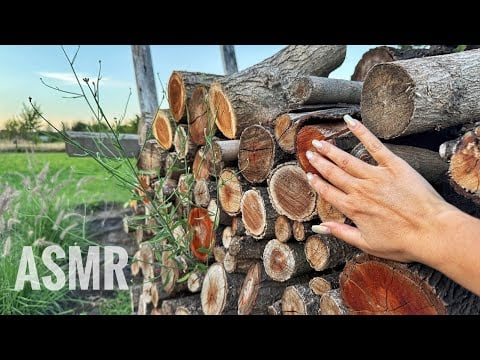 ASMR Triggers Outside 🌼 Tapping & Scratching with Relaxing Nature Sounds 😴