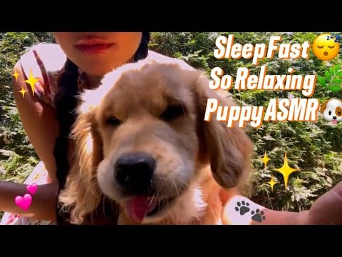 ASMR Garden Sounds with Puppy 🐶🌿 Relaxing Nature Sounds for Sleep