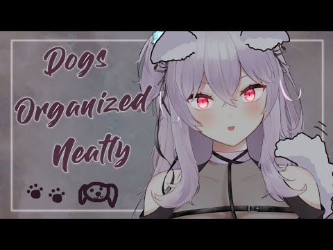 【Dogs Organized Neatly】Will it help if I use a leash?  | #2