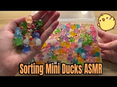 Sorting Mini Ducks ASMR | Whisper