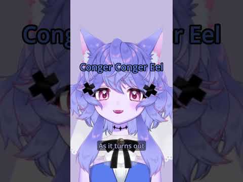 European Conger's Name: Conger Conger Eel Eel
