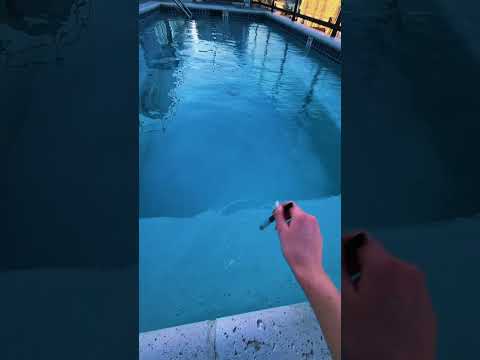 guess the celebrity asmr game at the pool #asmr #oddlysatisfying #guess #asmrgame #fyp relax tingle