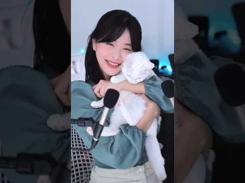 그냥 우리집 고양이 자랑