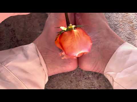 ASMR Bare feet rose sunshine
