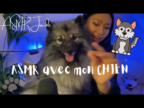 ASMR FR - JE TE PRESENTE MON CHIEN / KEESHOND (chuchottement, soft spoken, brossage)