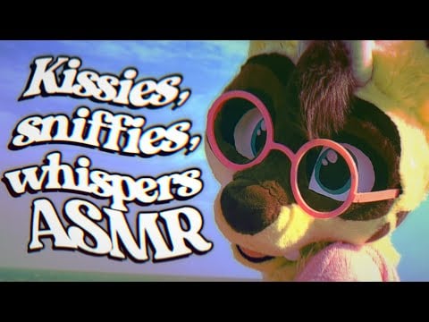 Furry ASMR | Kissies, sniffies, whispers and more! ✨️ (February patron requests)