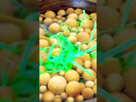 Noodle wood soup ASMR #enjoy #foryou #asmr #asmrvideo #asmrsounds #fyp