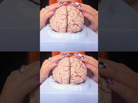 ASMR Brain Massage | Relaxing 3D Sounds for Mind Healing & Deep Focused #shortvideo #shorts