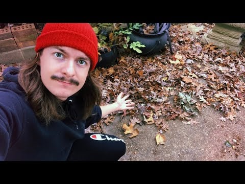[ASMR] Fall Leaf Crunching 2 (Lots of Crunchy Goodness)