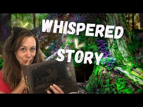 Journey to the Starlit Grove: A Magical ASMR Folk Tale for Relaxation