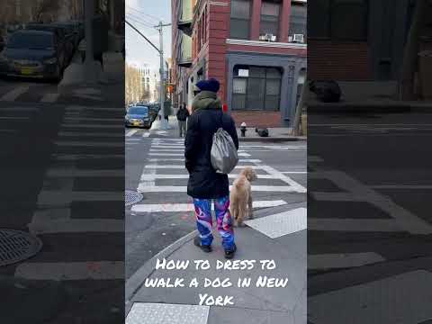 How To Dress to walk a dog in New York