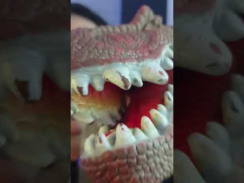 ASMR- Dino