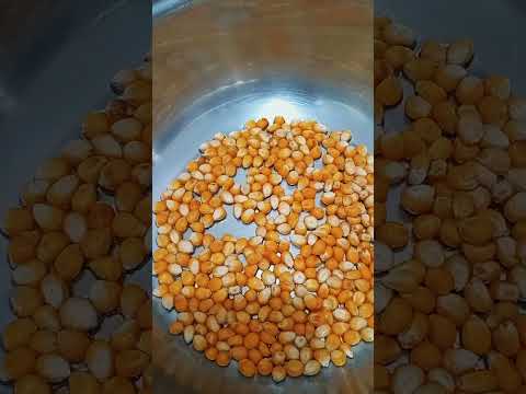 Probando nuevas palomitas de hongo #receta #familia #shorts