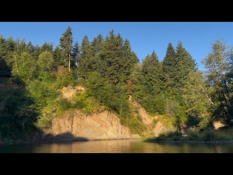 asmr floating down a river ambience - no talking 🐠