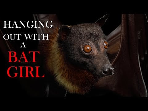 Hanging Out With the Bat Girl in Your Attic | ASMR Roleplay | (F4A) | wholesome | sleep aid |
