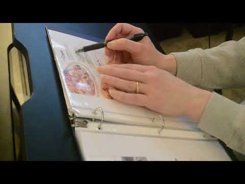 Asmr - Whispered Menu Reading with Plastic Crinkles and Sticky Fingers