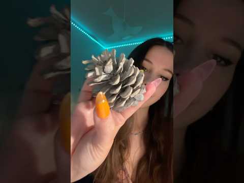 ASMR pomme de pin en visuel ✨ #asmr #pinecone #asmrtapping #visualasmr #tingles