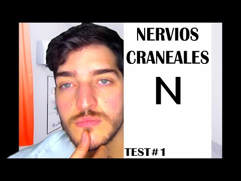 ASMR Mejor EXAMEN de NERVIOS CRANEALES l SeluAsmr!!!😴👀