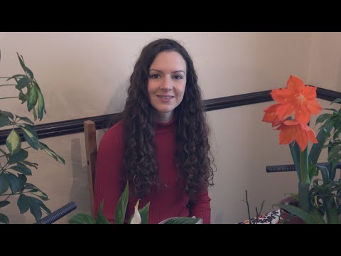 ASMR My Plant Collection - Soft Spoken