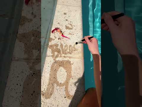 can you guess the celebrity asmr game at the pool #asmr #relax #asmrgames #relaxing