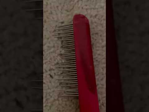 Asmr aggressive carpet picking